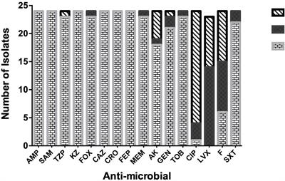 Extensively-Drug Resistant Klebsiella pneumoniae Recovered From Neonatal Sepsis Cases From a Major NICU in Egypt